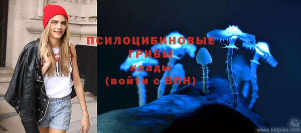 твердый Ладушкин