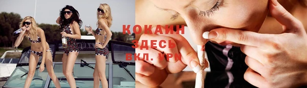 твердый Ладушкин
