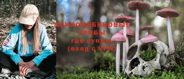 прущие крисы Лихославль