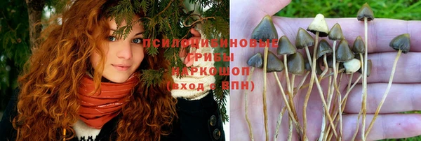 героин Лабытнанги