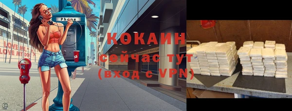твердый Ладушкин